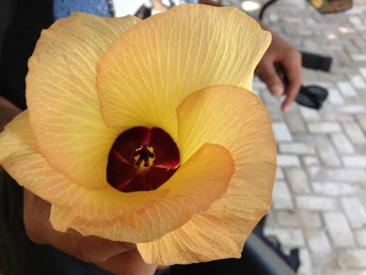 Sahnan Guest House บูกิตลาวัง ภายนอก รูปภาพ